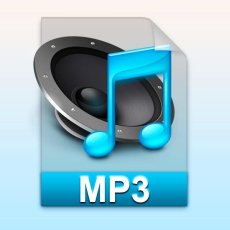Na Hosh Chale Mp3 Na Hosh Chale Mp3